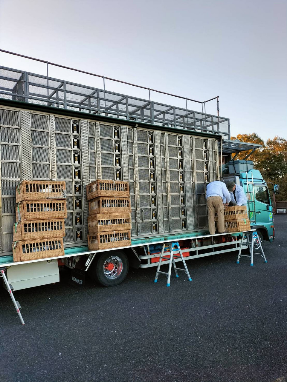 2024年度 伊賀国際サクセスレース200K」開催！ - 一般社団法人 日本鳩