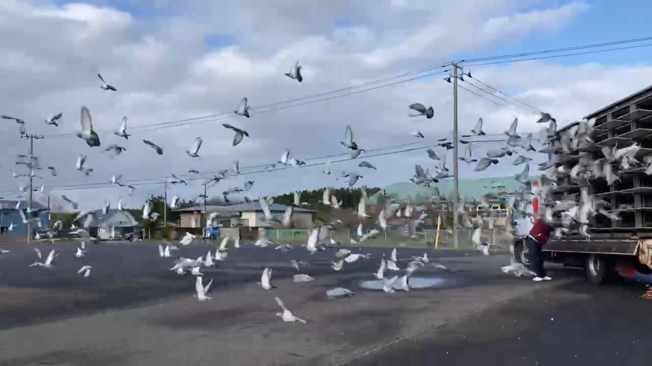 2025年度「 伊賀オリエンタルカップ700K」開催！ - 一般社団法人 日本