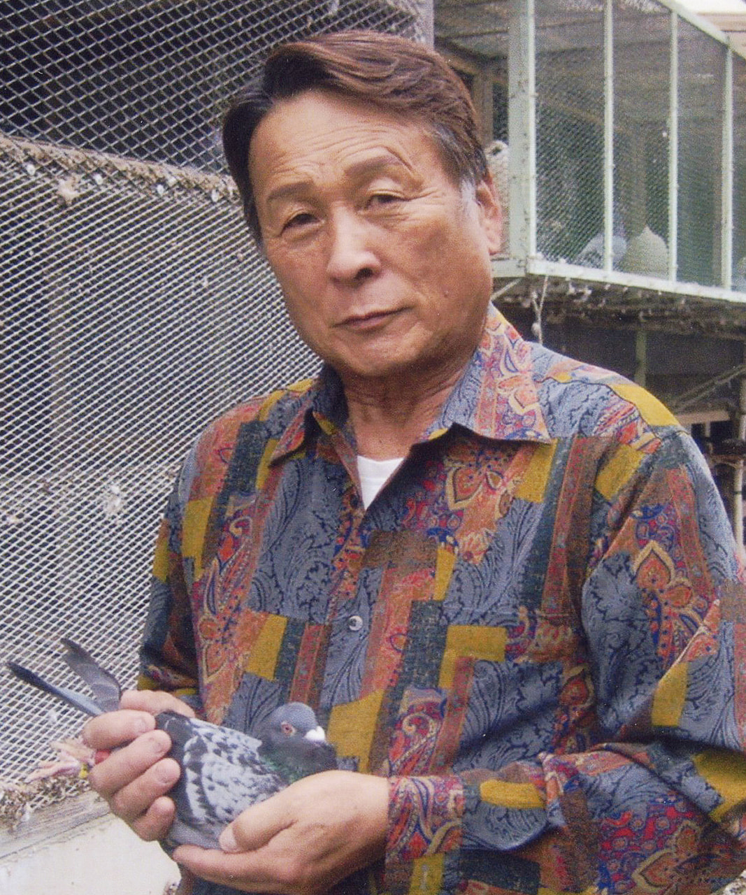 「第21回 全日本ゼネラルチャンピオン賞」発表 一般社団法人 日本鳩レース協会 SPECIAL WEBSITE