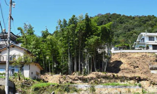 広島平和記念式典の放鳩と「ピカドンたけやぶ」