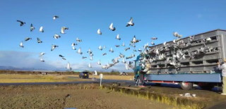 「2026年度 伊賀日英親善・連合会対抗レース200K」開催！