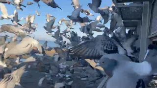 2026年度「伊賀国際ダービー400K」開催！