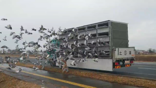 「2026年度 八郷国際ウィナー300K」開催！