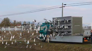 2026年度 「八郷国際ダービー400K」開催！