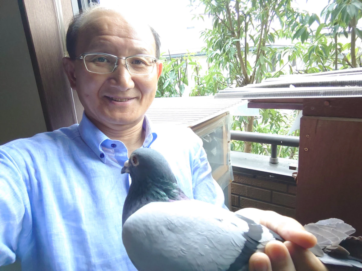 趣味のピジョンスポーツ 第10回「ベランダ鳩舎で、ささやかに鳩飼育