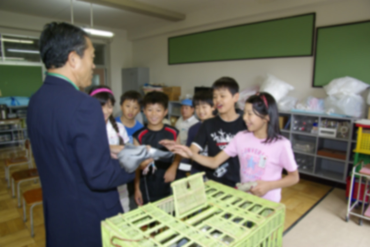 ハトを飼ってみよう！－ブリード（繁殖）からレースまで、新しいペット