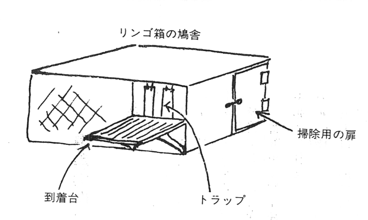 ハトを飼ってみよう！－ブリード（繁殖）からレースまで、新しいペットの楽しみ方ー 第2章 鳩を飼う前に その1（鳩舎作り） - 一般社団法人 日本鳩レース協会  SPECIAL WEBSITE